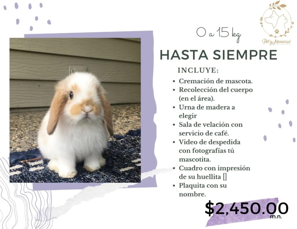 cremación de mascotas tijuana , crematorio de mascotas tijuana precios lugares de cremación para mascotas